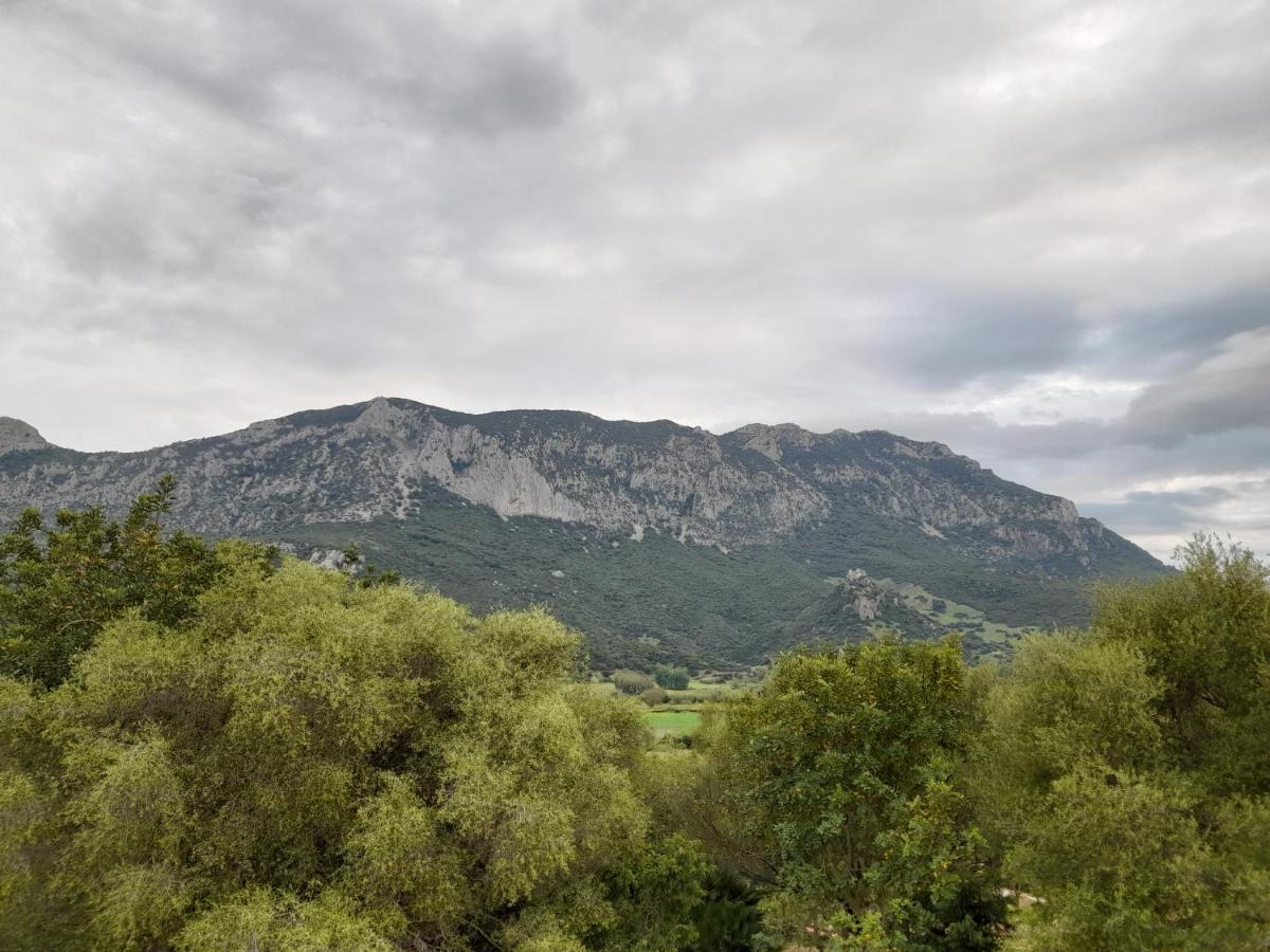 Agriturismo Palas De Serra Country Resort Onifai ภายนอก รูปภาพ