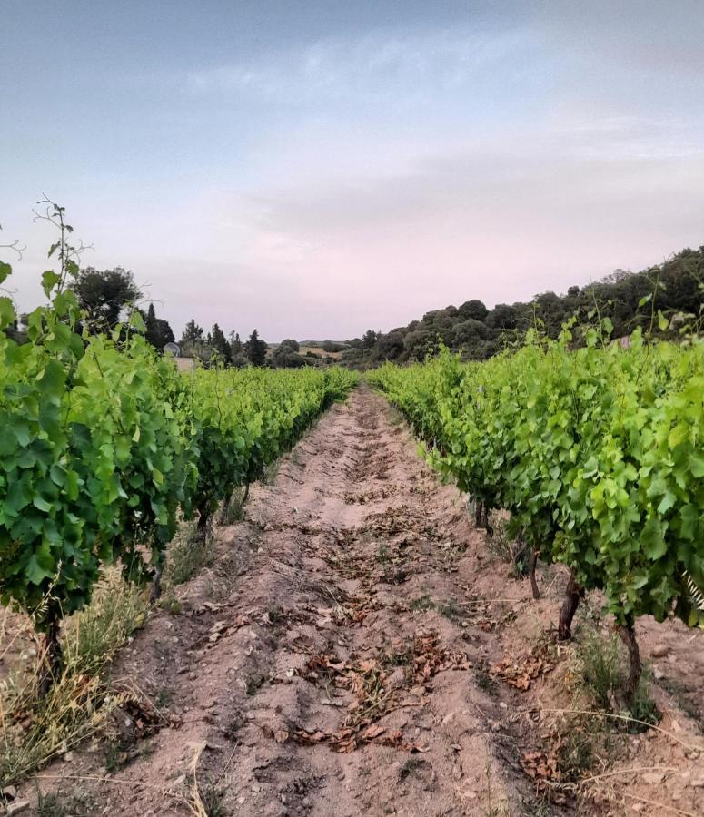 Agriturismo Palas De Serra Country Resort Onifai ภายนอก รูปภาพ