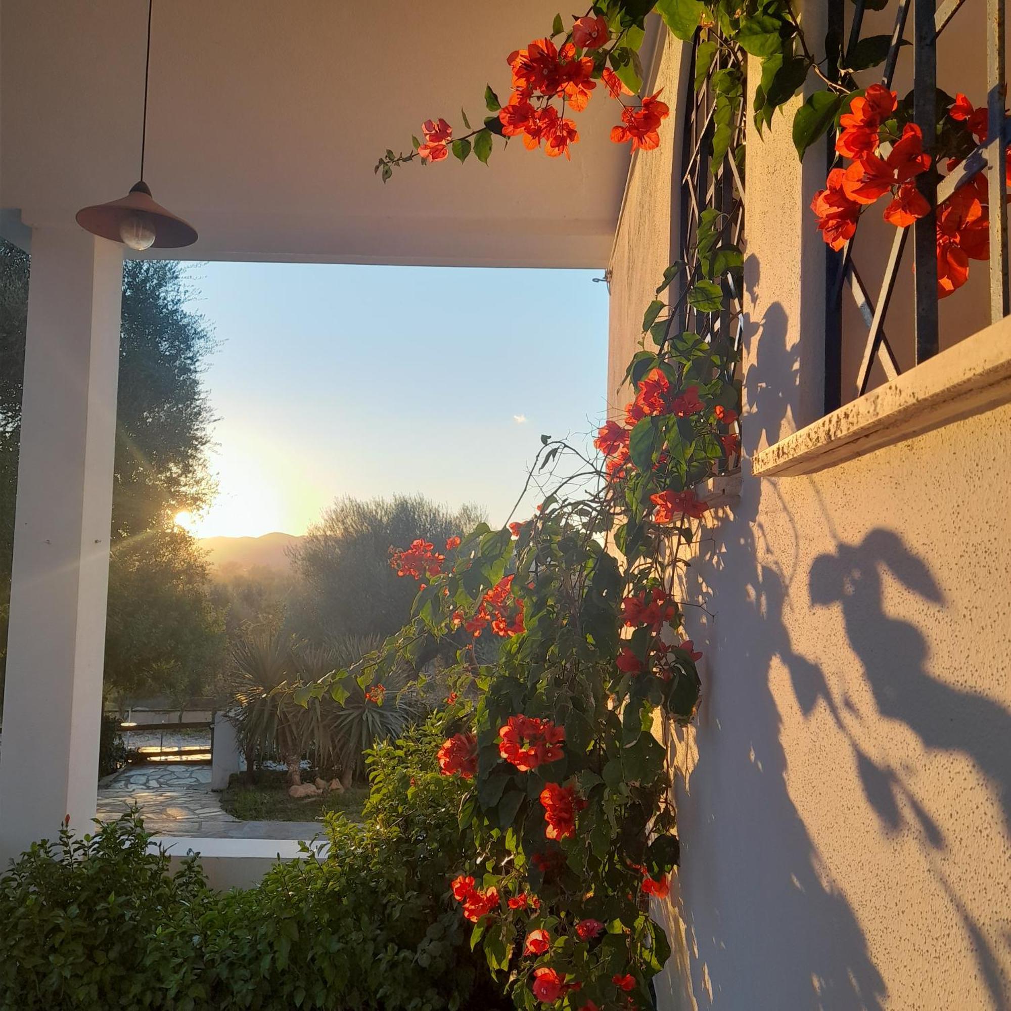 Agriturismo Palas De Serra Country Resort Onifai ภายนอก รูปภาพ